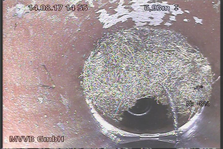 Rohrkamera-Aufnahme: Wurzeleinwüchse